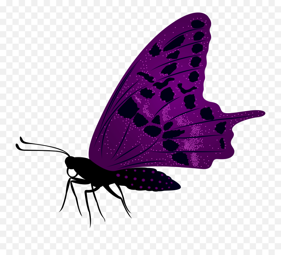 Purple Butterfly Png Clip Art Image