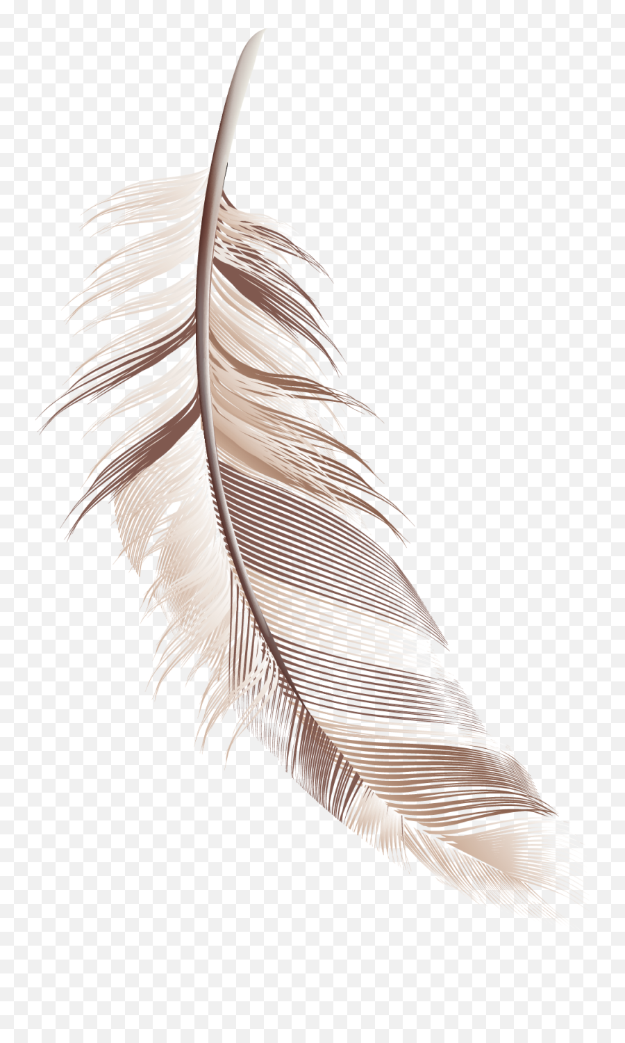Cartoon Feather Material Png Download - Transparent Background Feather Cartoon Png,Feather Transparent Background