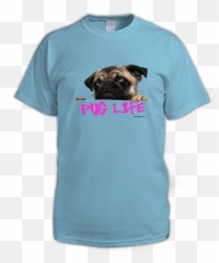 Download Light Blue - Keyring Pug Dog Face Sadness Cookies Sky Blue Png,Pug Face Png
