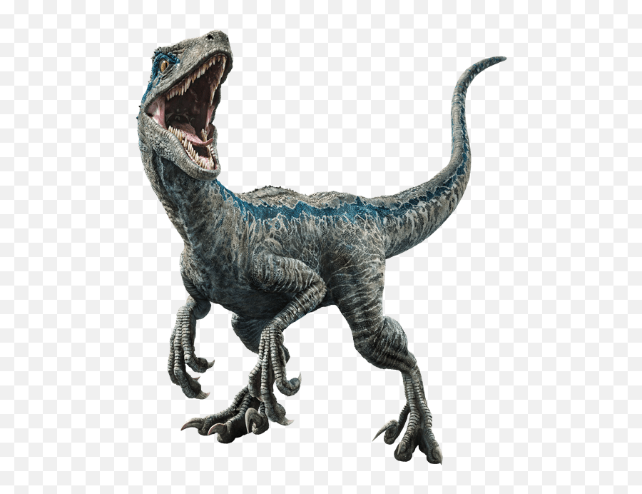Jurassic Park Dinosaur Png Free Image - Blue Raptor,Dinosaur Png