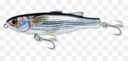 Mullet Walking Bait - Striper Bass Png,Mullet Png