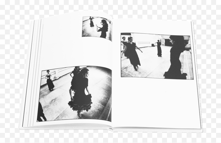 Download Books Flamenco 5 - Flamenco Dance Class Full Photograph Png,Flamenco Png