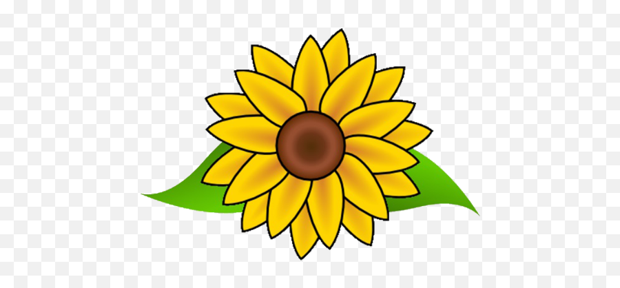 Cropped - Easy Drawing Of A Sunflower Png,Sunflower Logo