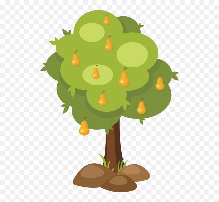 Download Fruit Tree Branch Asian Pear - Pear Tree Clipart Pear Tree Clipart Png,Fruit Tree Png
