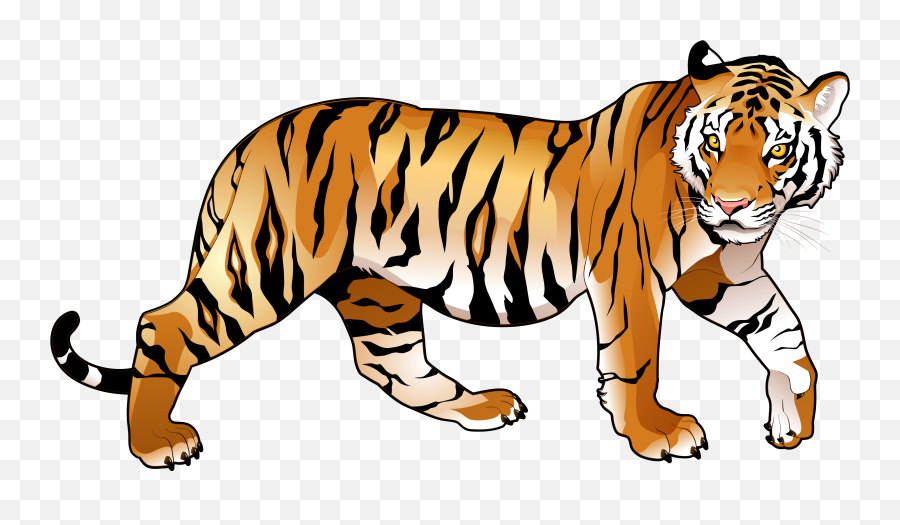 Jaguar Clipart Tiger - Tiger Clipart Png,Tiger Transparent