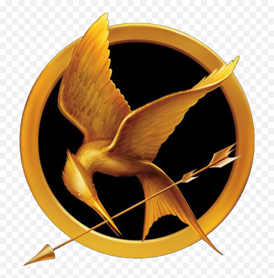 Download Free Png Book Review The Hunger Games U2013 - Hunger Games Mockingjay Pin,Minecraft Book Png