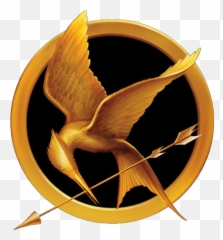 Download Free Png Book Review The Hunger Games U2013 - Hunger Games Mockingjay Pin,Minecraft Book Png