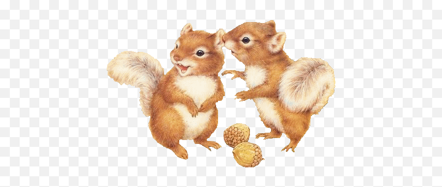 Squirrel Squirrels Fantasyart Fantasy Makebelieve Imagi - Two Squirrels Clipart Png,Squirrel Transparent