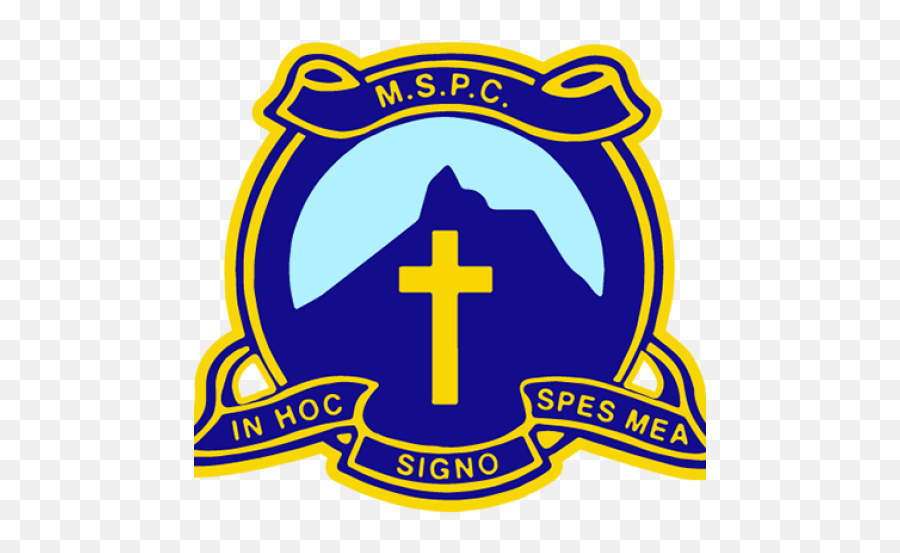 Cropped - Mspclogoiconpng U2013 Mt St Patrick College Mt St Patrick College Murwillumbah,Government Icon Png