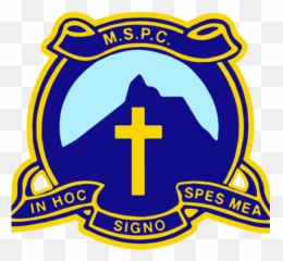 Cropped - Mspclogoiconpng U2013 Mt St Patrick College Mt St Patrick College Murwillumbah,Government Icon Png