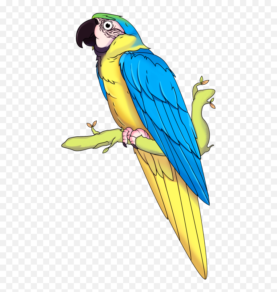 Download Guacamaya - Pet Birds Png,Macaw Png