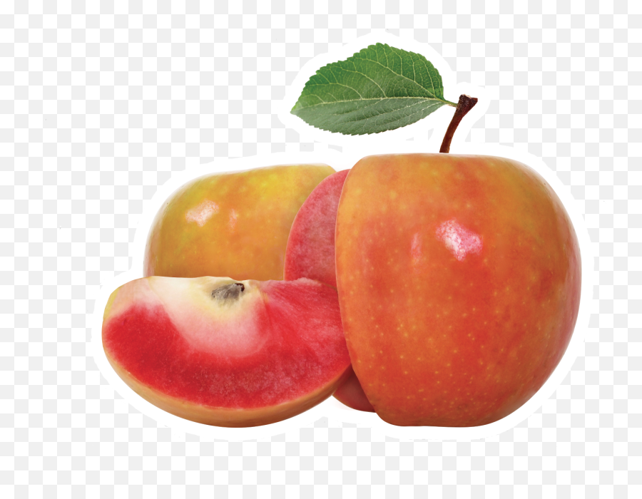 Lucy Apple - Chelan Fresh Lucy Glo Apple Png,Golden Apple Logo