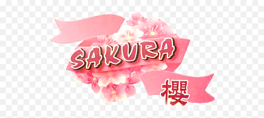 Home - Sakura Png,Sakura Transparent