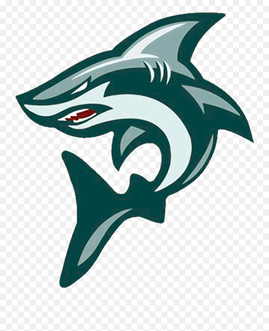 The Olinda Sharks - Scorestream American Football Png,Shark Logo Png