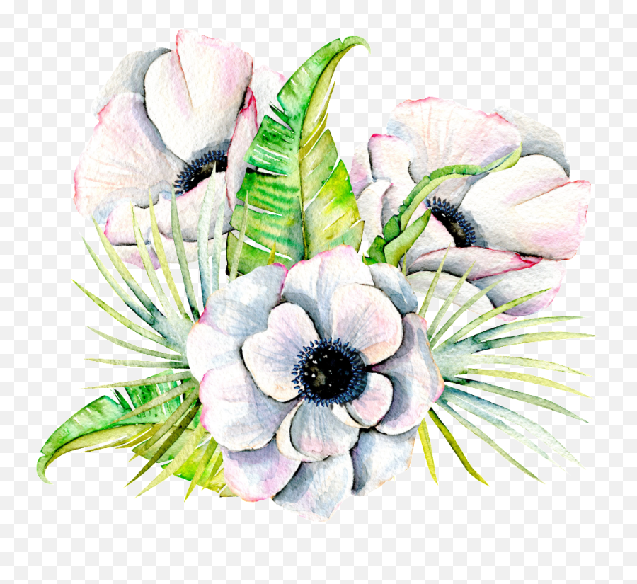Elegant Flowers Png Transparent - Anemone Watercolor White Flower,Painted Flowers Png