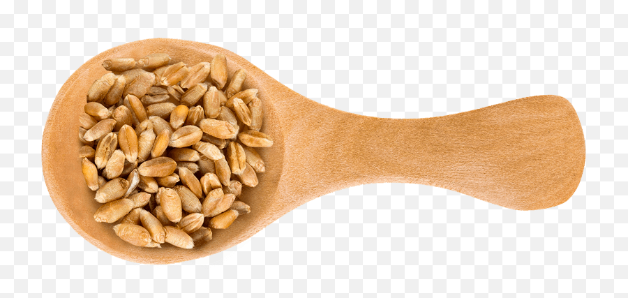 8 Wholesome Grains We Canu0027t Get Enough Of - Emmer Png,Grains Png