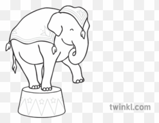 Circus Elephant Black And White 2 - Cartoon Circus Elephant Black And White Png,Circus Elephant Png