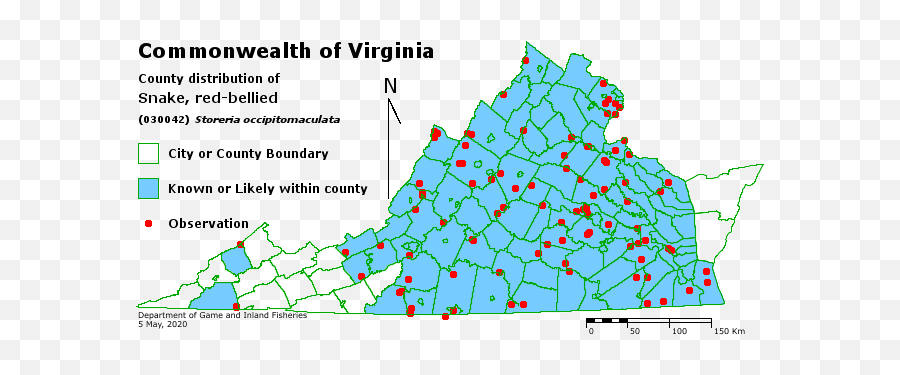 Snake Id Guide - Map Of Virginia Counties Png,Transparent Black Line