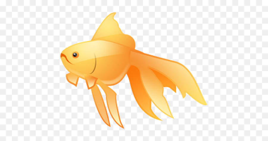 Fish Icon U2013 Free Icons Download - Goldfish Png,Fish Icon Png
