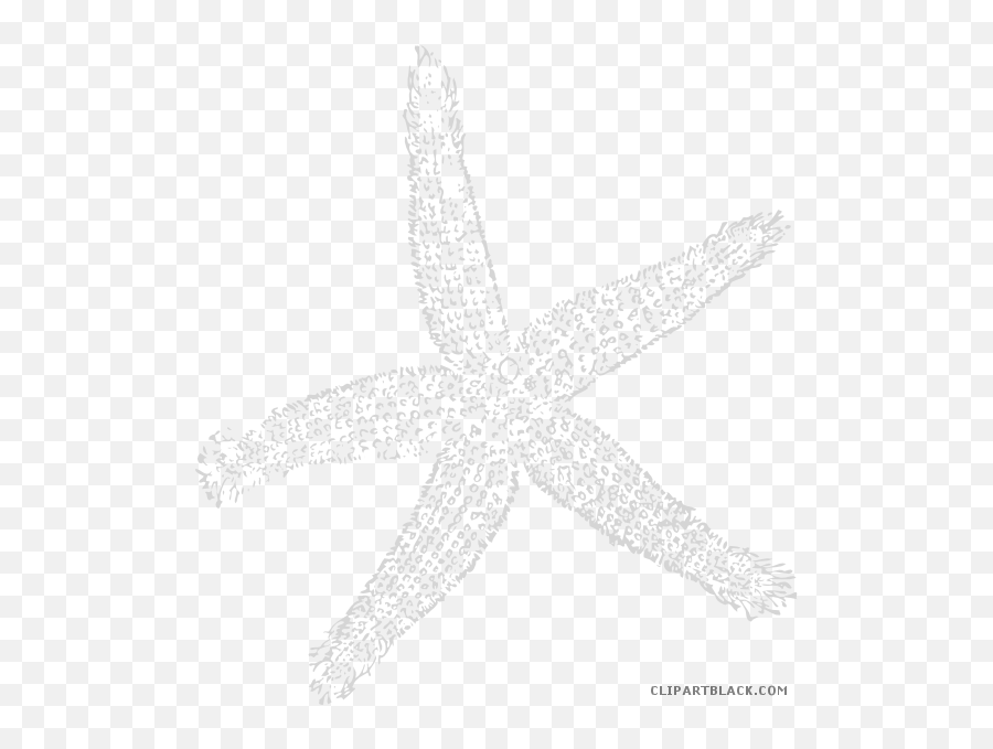 Transparent Library Star Fish Png Files - Fish Clip Art,Starfish Transparent