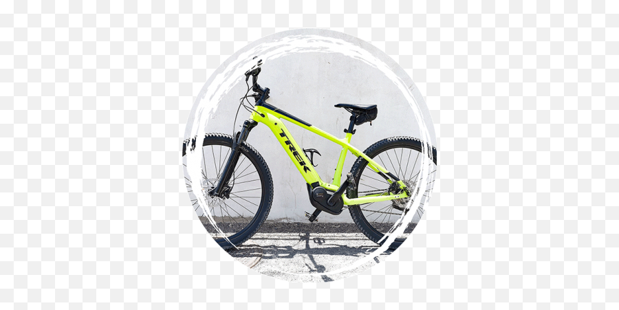 Bike Rental Great Selection Good Prices Riders Surf U0027n - Trek Marlin 5 Volt Green Png,Mountain Bike Icon