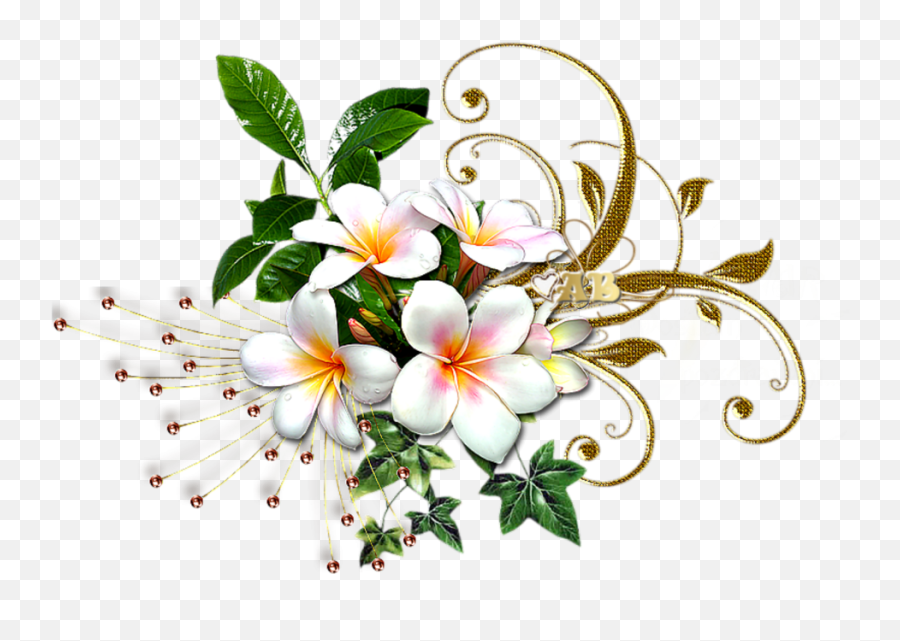 Mq White Gold Flowers Flower Garden - Rosa Glauca White And Gold Flowers Png,Flower Garden Png