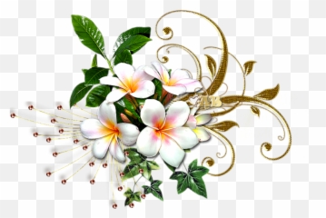 Mq White Gold Flowers Garden - Rosa Glauca White And Gold Flowers Png