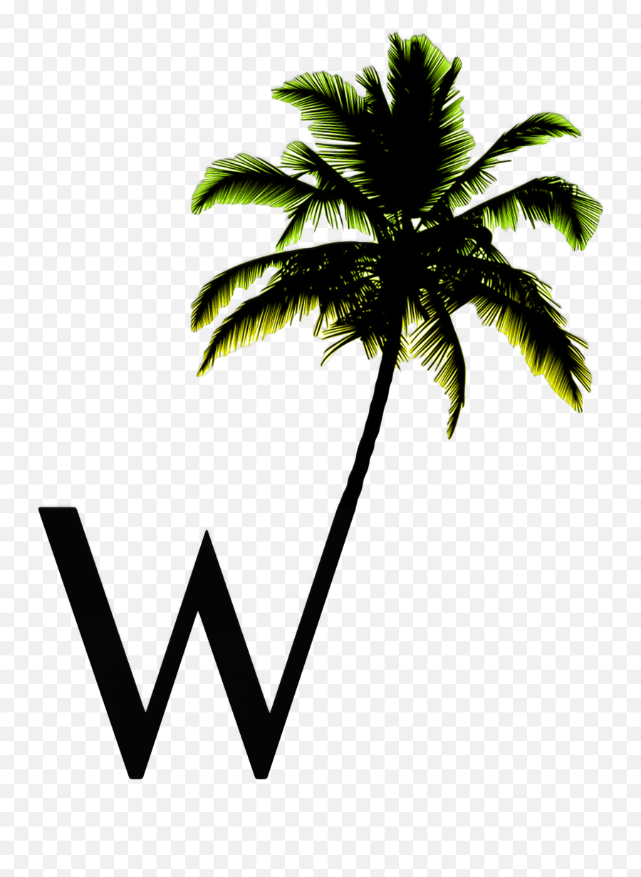 W Palm Only Logo No Background - Palm Tree Silhouette Png,Palm Tree Logo