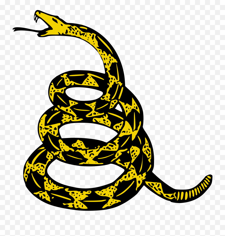 A Biographical Analysis Of Post Malone U2014 Sunlighter - Don T Tread On Me Png,Icon Nashville Tattoo