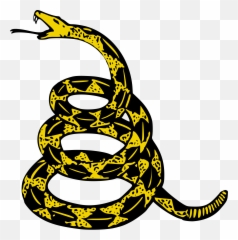 A Biographical Analysis Of Post Malone U2014 Sunlighter - Don T Tread On Me Png,Icon Nashville Tattoo