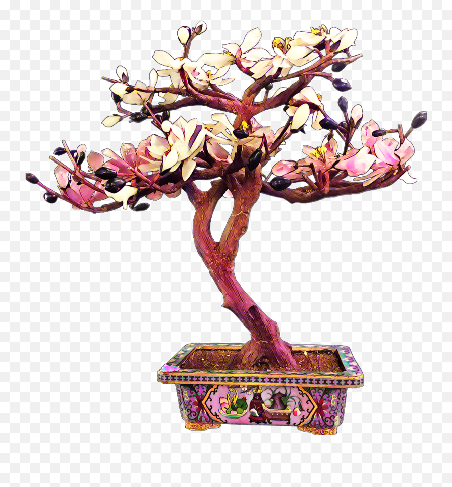 Bonsai Tree Flowers Leaves Multicolored Beautiful - Cherry Blossom Bonsai Transparent Png,Bonsai Tree Png