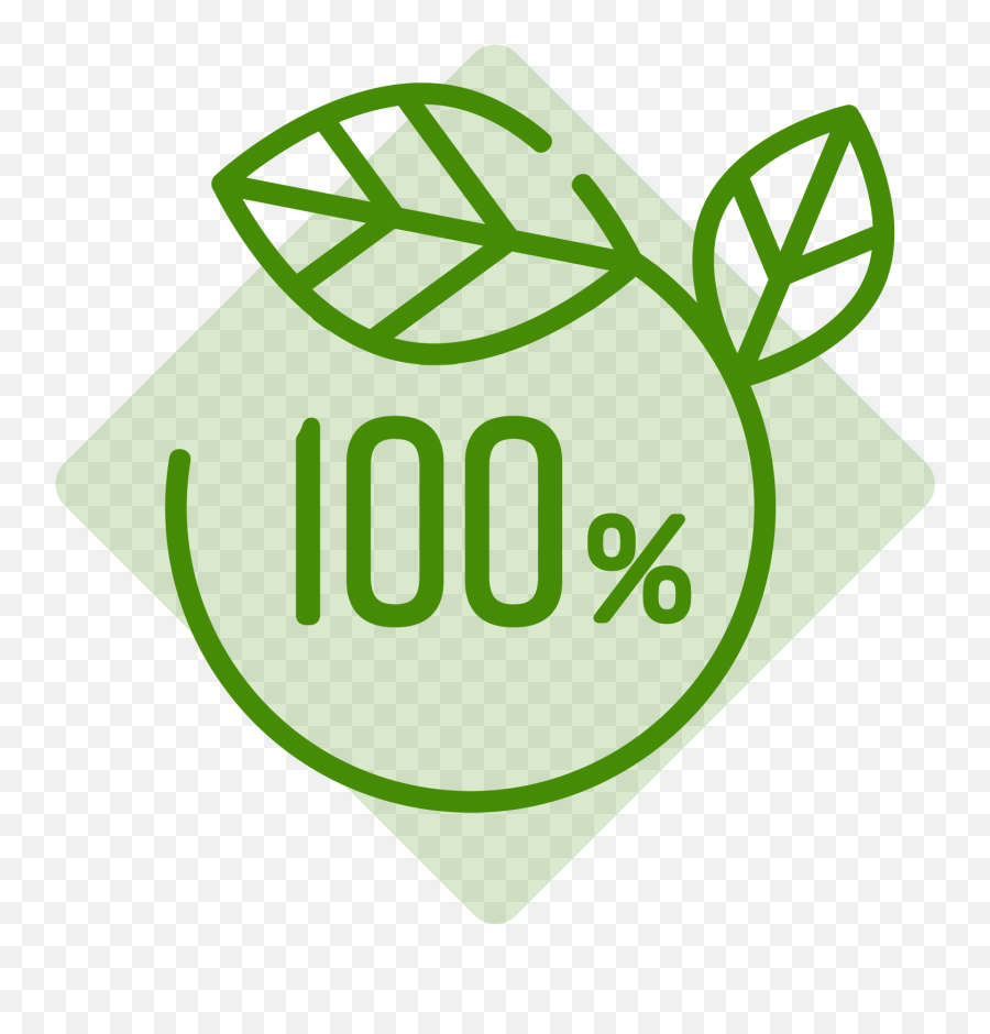 Takeout 25 - Sustainable World Icon Png,100% Natural Icon