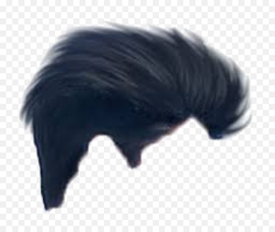 Hair Png For Photoshop And Picsart Cb - Man Side Hair Png,Men Hair Png