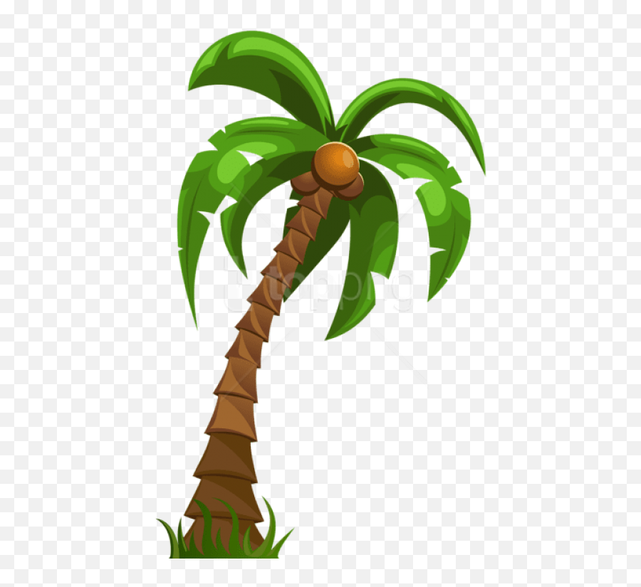 Free Png Download Palm Images Background - Cartoon Palm Tree Png,Palm Tree Outline Png
