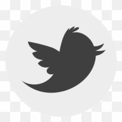 Uowmkdu Postgraduate - Png Transparent Background Twitter Icon Gray