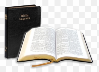 Pastor Sérgio Felizardo - Biblia De Los Adventistas Png,Biblia Png