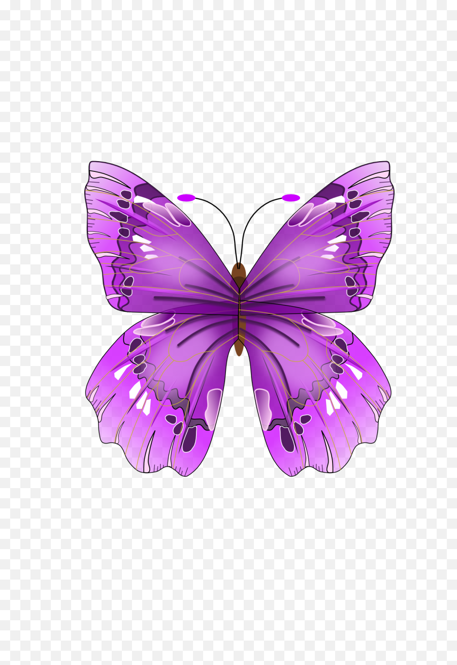 Butterfly Png Image - Purple Butterfly,Purple Butterfly Png