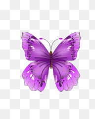 Butterfly Png Image - Purple Butterfly,Purple Butterfly Png