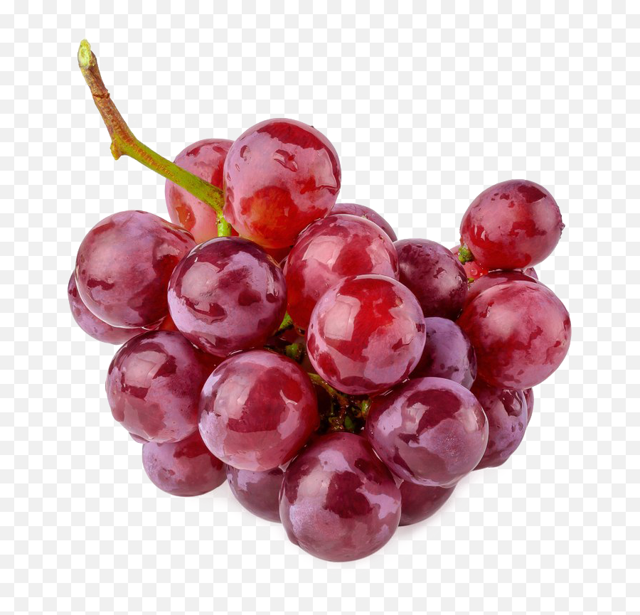 Purple Grapes Transparent Background - Grapes Transparent Background Png,Fruit Transparent Background