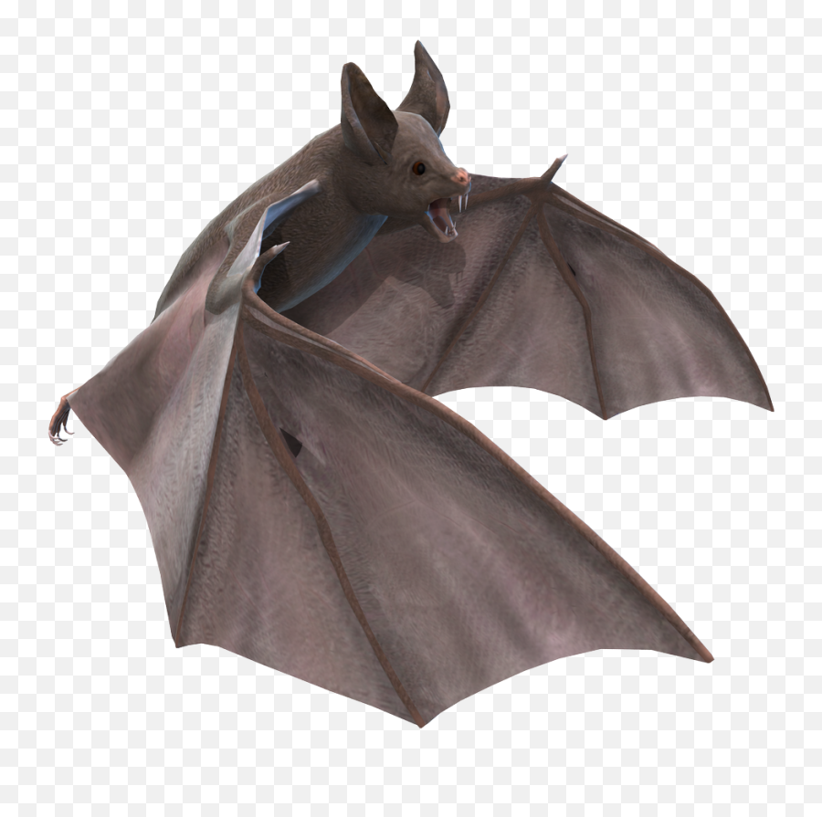 Bat Png - Vampire Bat Art,Bat Transparent Background