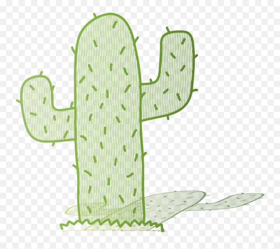 Cactus Shadow Saguaro - Eastern Prickly Pear Png,Saguaro Png