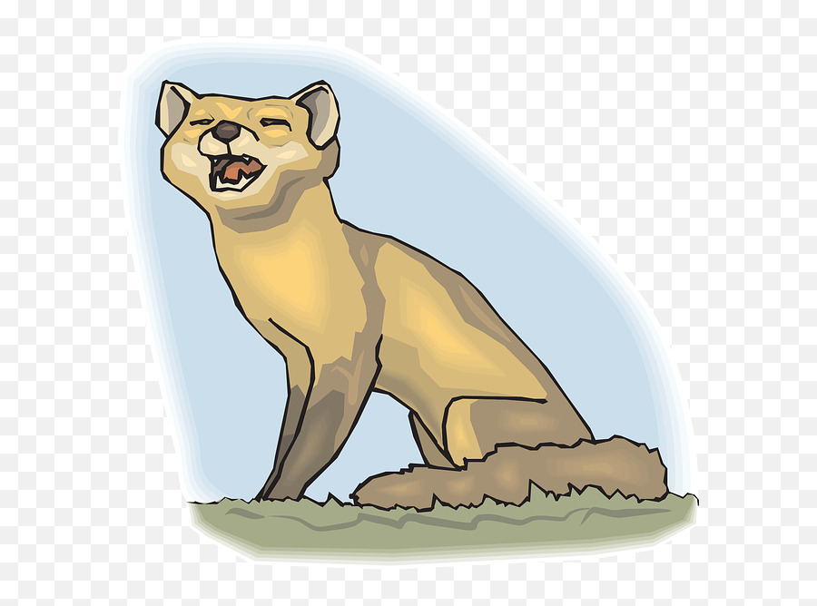 Baby Sky Grass - Free Vector Graphic On Pixabay Clip Art Png,Fox Clipart Png