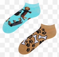 Good Mood Low Socks Dachshund - Zokni Tacskó Png,Dachshund Png