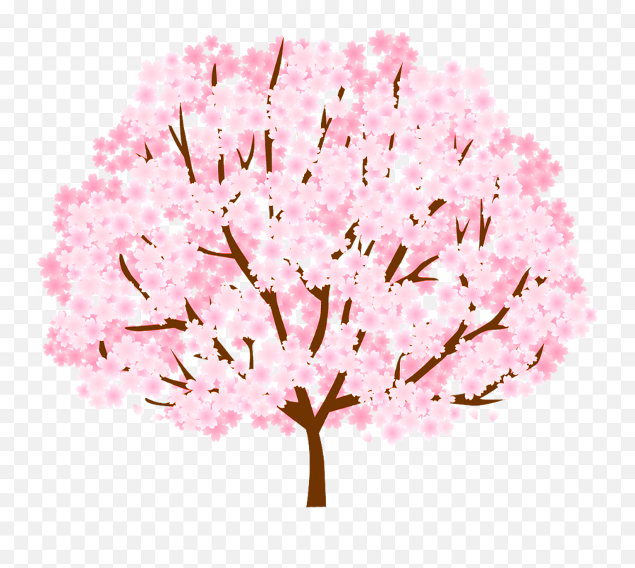 Tree Cherry Blossom Spring - Free Image On Pixabay Cherry Blossom Png,Sakura Petals Png