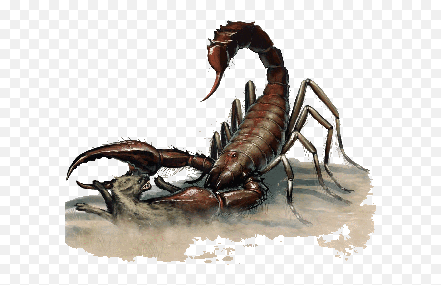 Download Scorpion Giant - Dnd 5e Giant Scorpion Png Image Giant Scorpion Dnd 5e,Scorpion Png