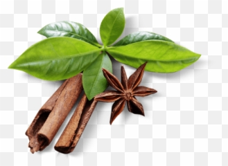 Cinnamon Coffee Png King Tut