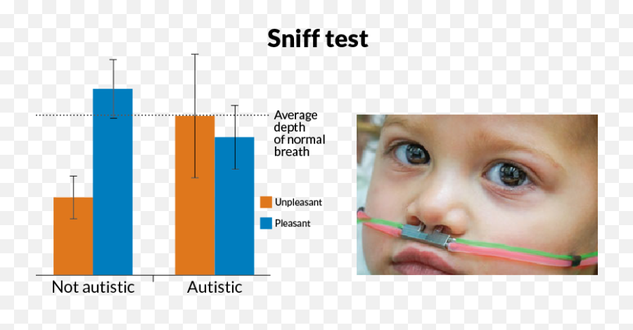 Sniff Test - Diagram Png,Smell Png