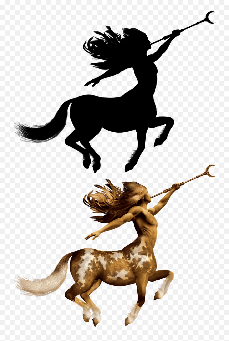 Centaur Fantasy Character - Free Image On Pixabay Sagittarius Png,Centaur Png