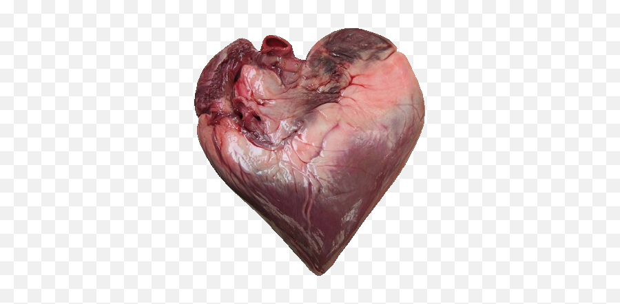 Female Human Picture Of Real Heart Full Size Png - Real Images Of Human Heart,Human Heart Png