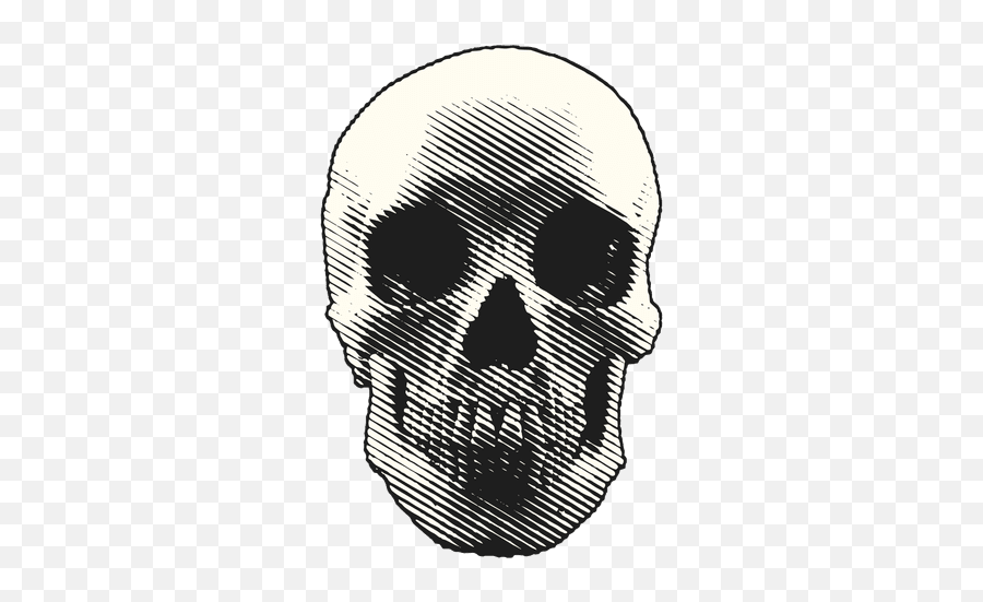 Transparent Png Svg Vector File - Skull Illustration Png,Calavera Png
